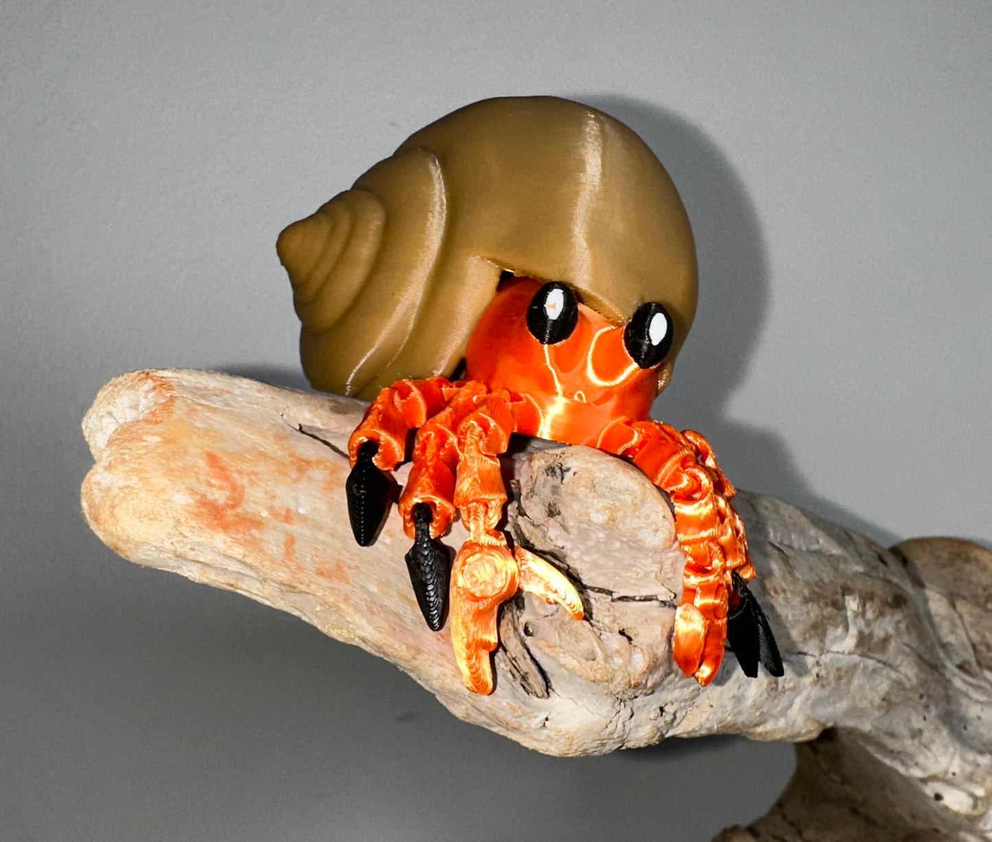 Hermit Crab
