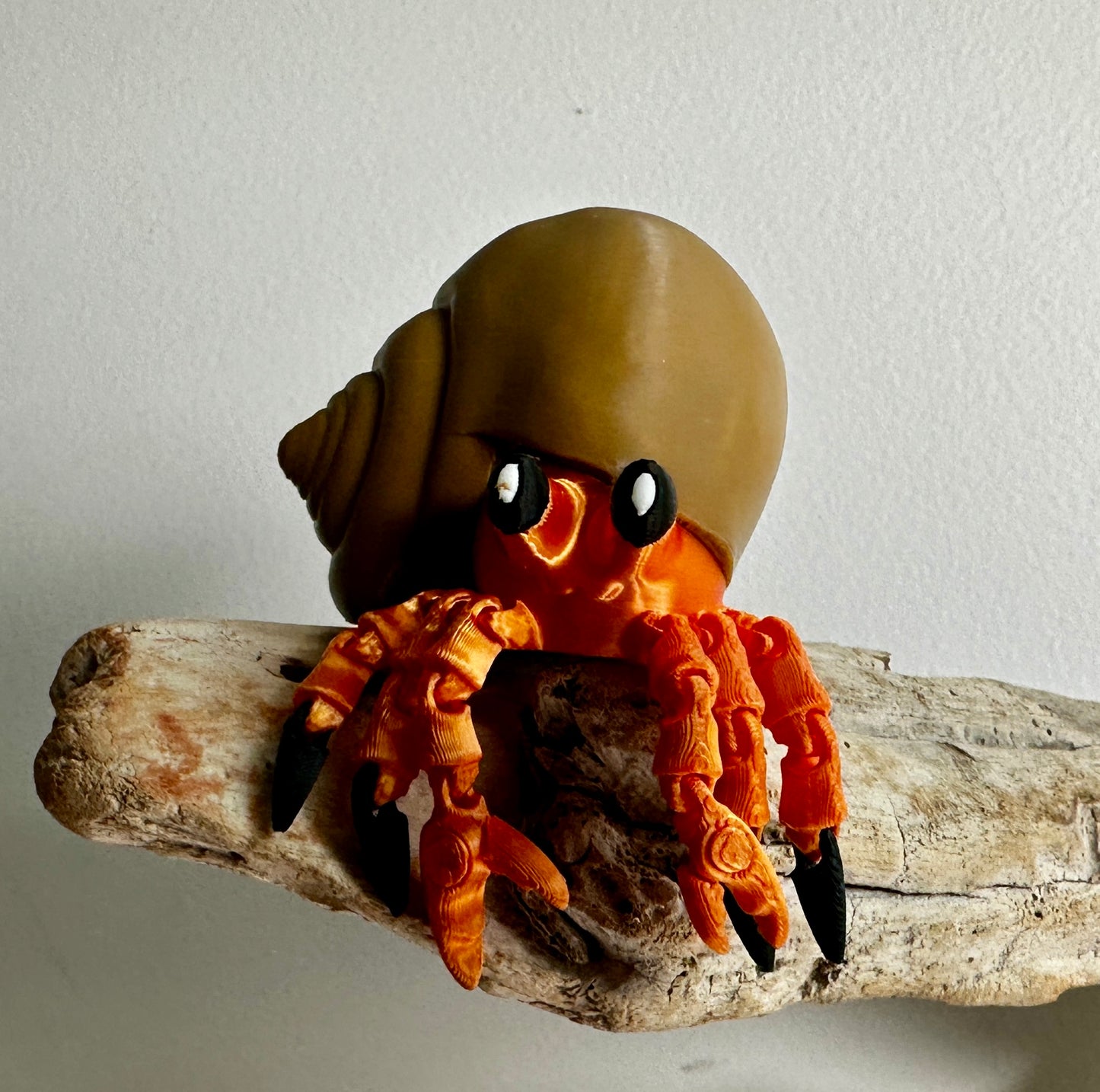 Hermit Crab